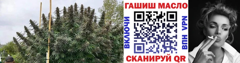Купить где Новотроицк ТГК вейп с тгк