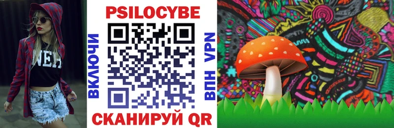Псилоцибиновые грибы Cubensis  Купить где  Новотроицк 